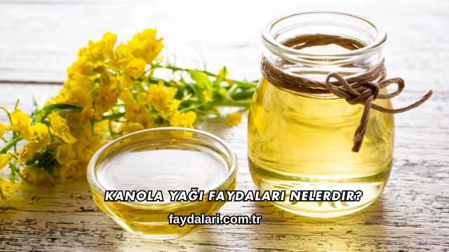 Kanola Yağı Faydaları Nelerdir