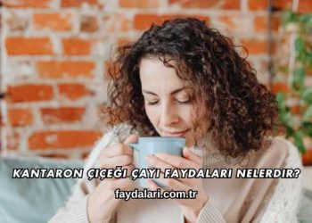 Kantaron Çiçeği Çayı Faydaları Nelerdir?