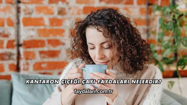Kantaron Çiçeği Çayı Faydaları Nelerdir?