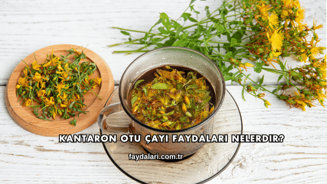 Kantaron Otu Çayı Faydaları Nelerdir?