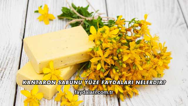 Kantaron Sabunu Yüze Faydaları Nelerdir?