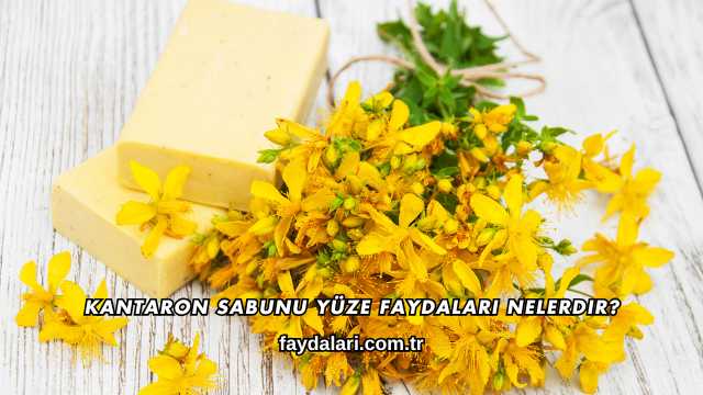 Kantaron Sabunu Yüze Faydaları Nelerdir?