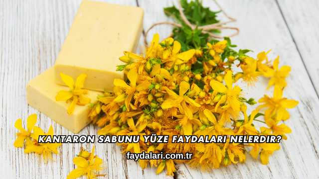 Kantaron Sabunu Yüze Faydaları Nelerdir?