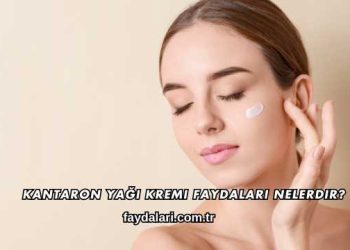 Kantaron Yağı Kremi Faydaları Nelerdir?