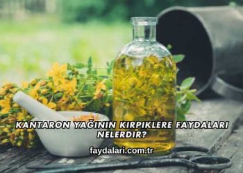Kantaron Yağının Kirpiklere Faydaları Nelerdir?