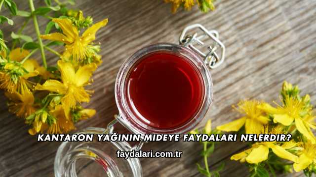 Kantaron Yağının Mideye Faydaları Nelerdir