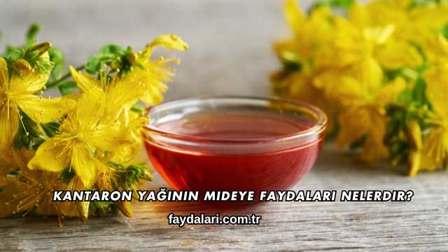Kantaron Yağının Mideye Faydaları Nelerdir