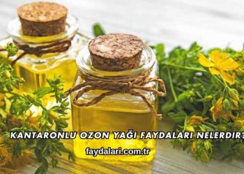 Kantaronlu Ozon Yağı Faydaları Nelerdir?