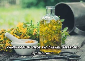 Kantaronun Cilde Faydaları Nelerdir?