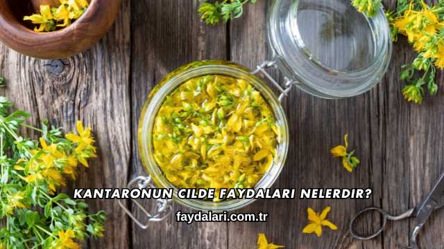 Kantaronun Cilde Faydaları Nelerdir?