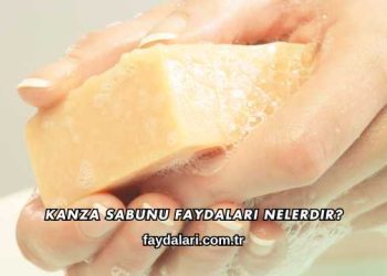 Kanza Sabunu Faydaları Nelerdir?