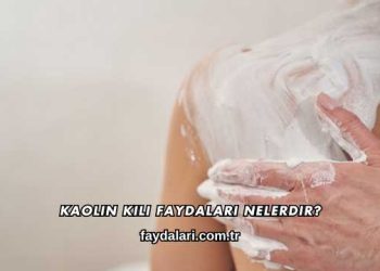Kaolin Kili Faydaları Nelerdir?