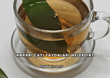 Kapari Çayı Faydaları Nelerdir?