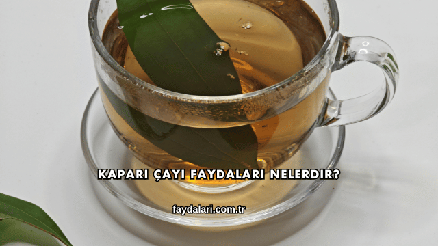 Kapari Çayı Faydaları Nelerdir?