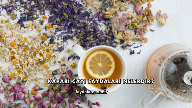 Kapari Çayı Faydaları Nelerdir?