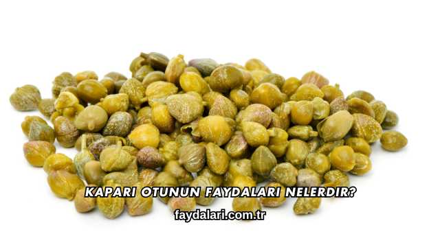 Kapari Otunun Faydaları Nelerdir?