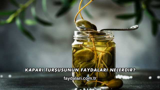 Kapari Turşusunun Faydaları Nelerdir?
