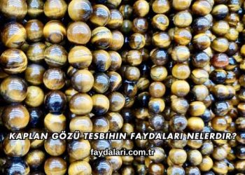 Kaplan Gözü Tesbihin Faydaları Nelerdir?