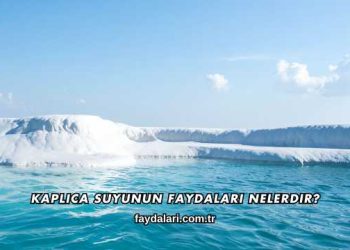 Kaplıca Suyunun Faydaları Nelerdir?