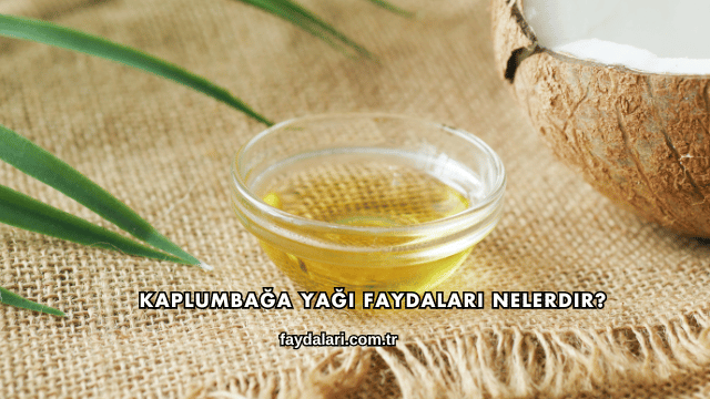 Kaplumbağa Yağı Faydaları Nelerdir?
