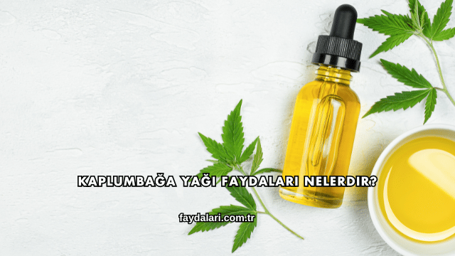 Kaplumbağa Yağı Faydaları Nelerdir?