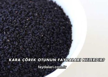 Kara Çörek Otunun Faydaları Nelerdir?