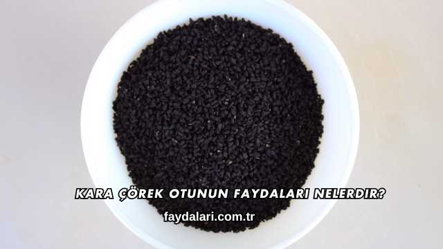 Kara Çörek Otunun Faydaları Nelerdir?
