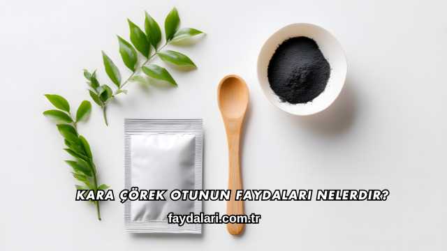 Kara Çörek Otunun Faydaları Nelerdir?