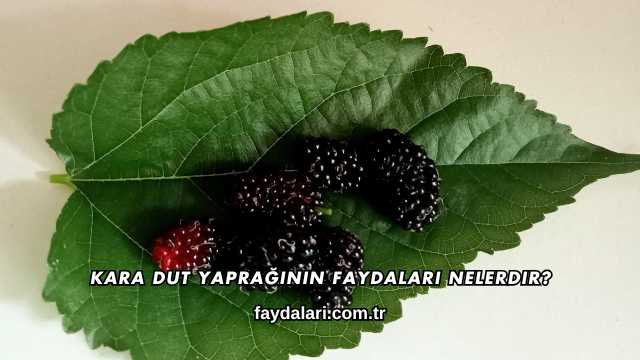 Kara Dut Yaprağının Faydaları Nelerdir?