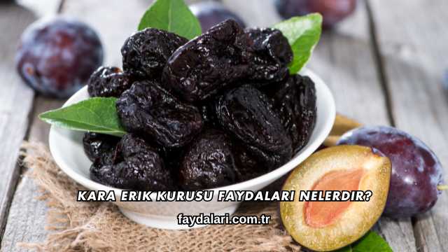 Kara Erik Kurusu Faydaları Nelerdir?