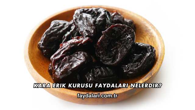 Kara Erik Kurusu Faydaları Nelerdir?