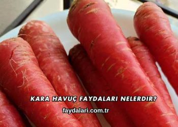 Kara Havuç Faydaları Nelerdir?