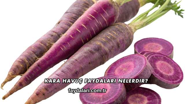 Kara Havuç Faydaları Nelerdir?