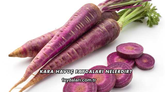 Kara Havuç Faydaları Nelerdir?