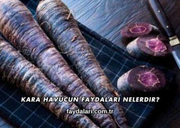 Kara Havucun Faydaları Nelerdir?