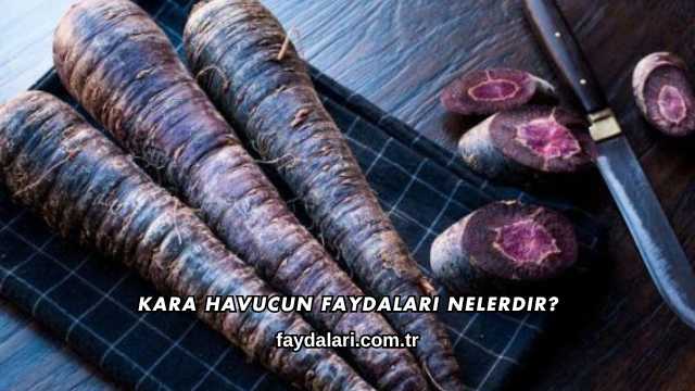 Kara Havucun Faydaları Nelerdir?