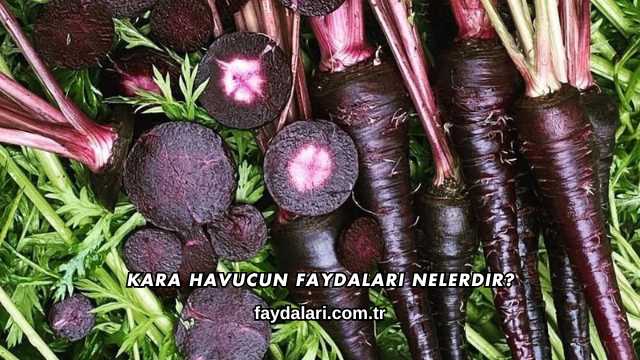 Kara Havucun Faydaları Nelerdir?
