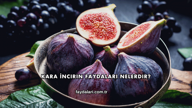 Kara İncirin Faydaları Nelerdir?