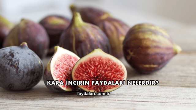Kara İncirin Faydaları Nelerdir?