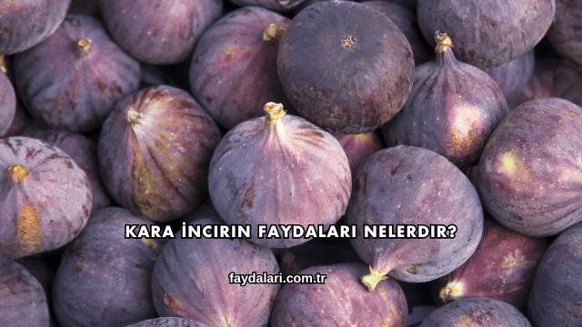 Kara İncirin Faydaları Nelerdir?