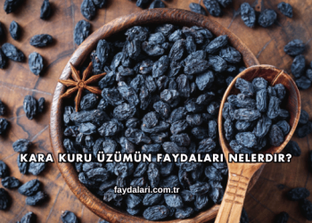 Kara Kuru Üzümün Faydaları Nelerdir?