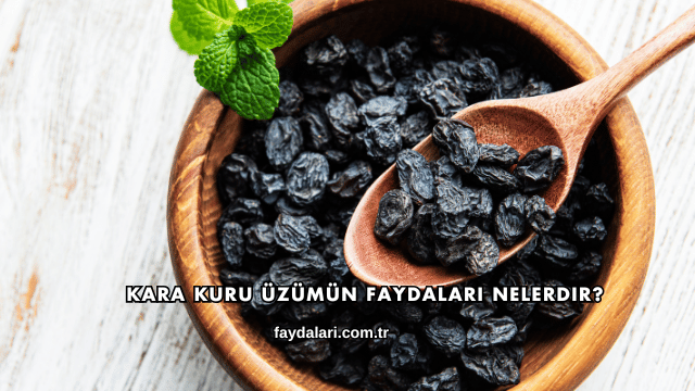 Kara Kuru Üzümün Faydaları Nelerdir?
