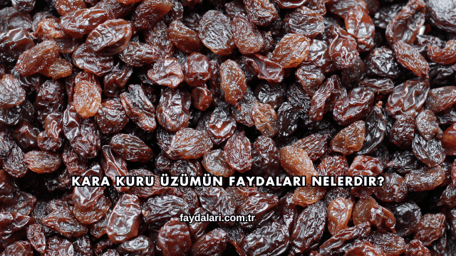 Kara Kuru Üzümün Faydaları Nelerdir?