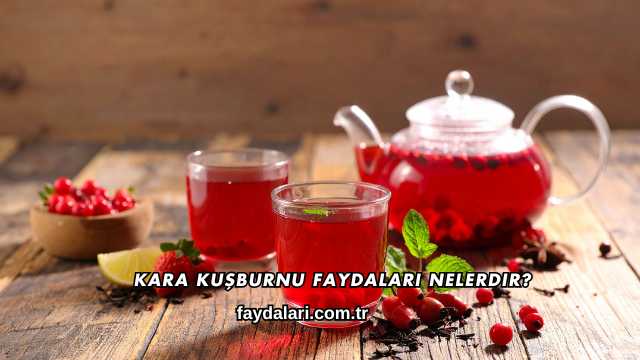 Kara Kuşburnu Faydaları Nelerdir?