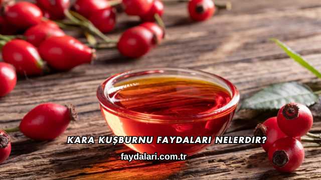 Kara Kuşburnu Faydaları Nelerdir?