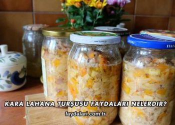 Kara Lahana Turşusu Faydaları Nelerdir?