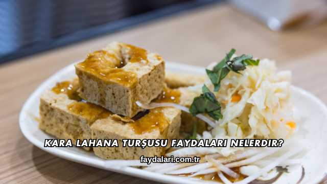 Kara Lahana Turşusu Faydaları Nelerdir?