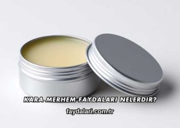 Kara Merhem Faydaları Nelerdir?