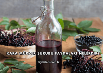 Kara Mürver Şurubu Faydaları Nelerdir?