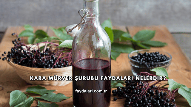 Kara Mürver Şurubu Faydaları Nelerdir?